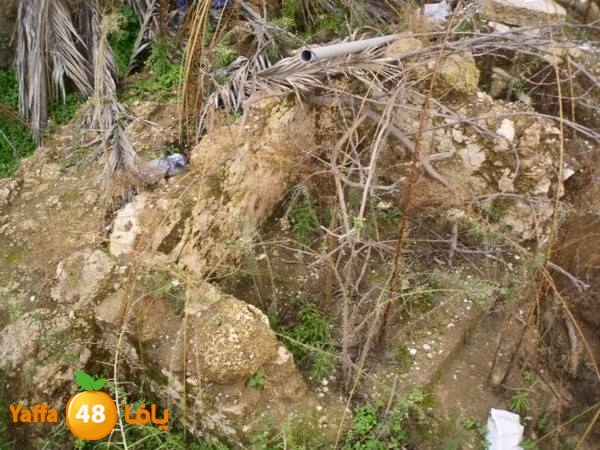 maqbara mamlokeya (7).jpg